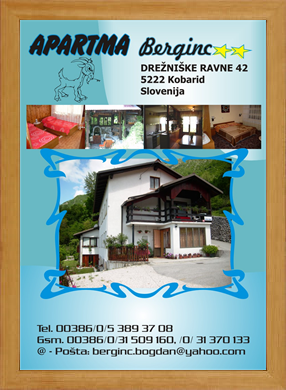 Vizitka APARTMA BERGINC **